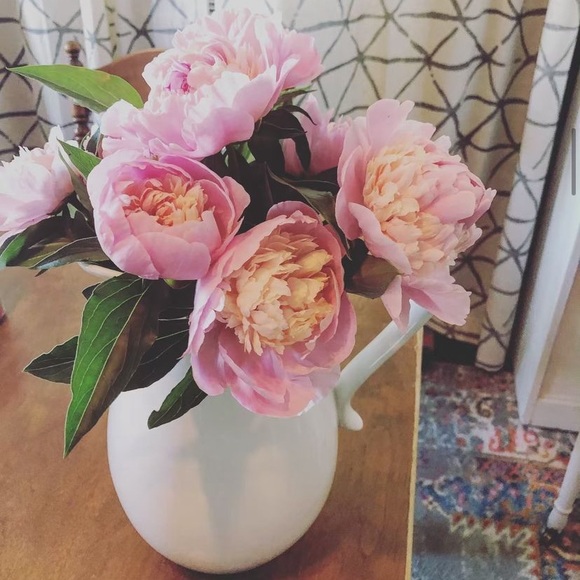 ✨❤️LOVIE DOVIE CO is LIVE ❤️ this listing to get a notification for my shows! - Picture 4 of 9